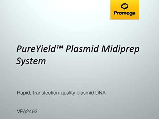 PureYield™ Plasmid Midiprep System