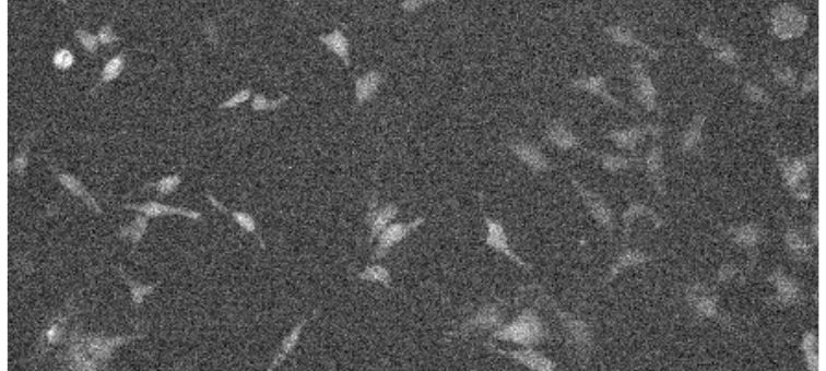 pa1030-tile