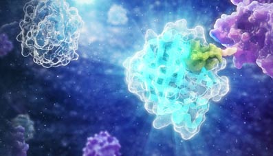 protein-degradation