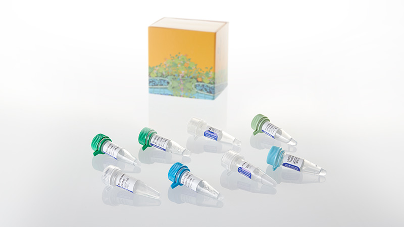 GoScript Reverse Transcription System 50 reactions