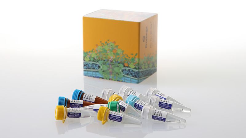 cr4302-prodye-terminator-sequencing-system-3