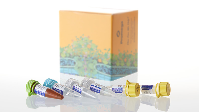 DC1001_Plexor--HY-System--200-rxn