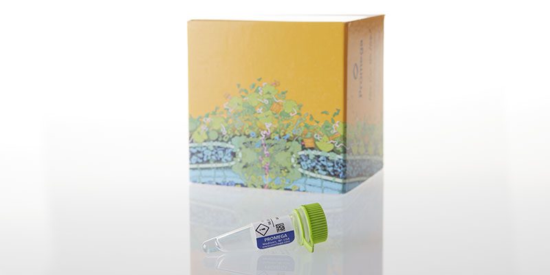 E1701_QuantiLum-Recombinant-Luciferase_3