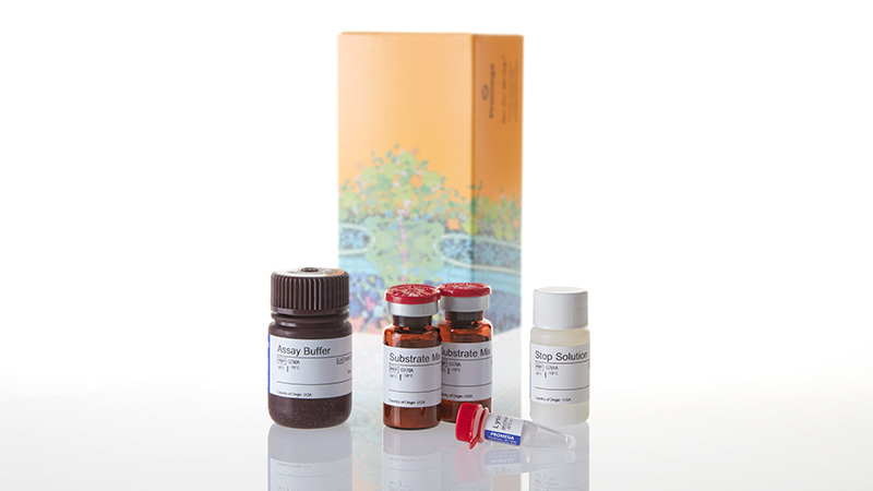 G7890_CytoTox-ONE--Homogen-Membrn-Integrity_3