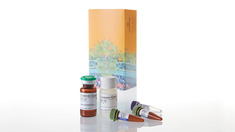 G9951_Caspase-Glo---1-Inflammasome-Assay-10ml_3