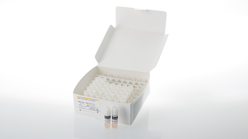 ga6060-raji-ldh-hibit-cell-bank