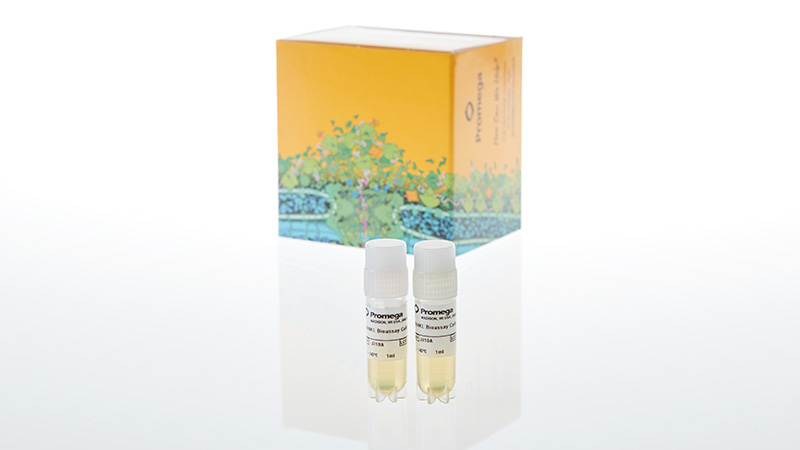 J3102_RANKL-Bioassay--Propagation-Model_3