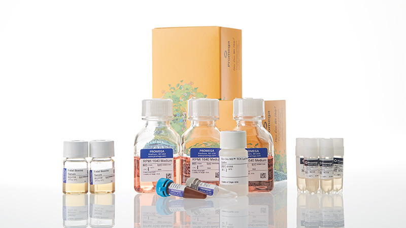 ja1235-raji-ldh-hibit-cd20-ko-tck-bioassay-5x