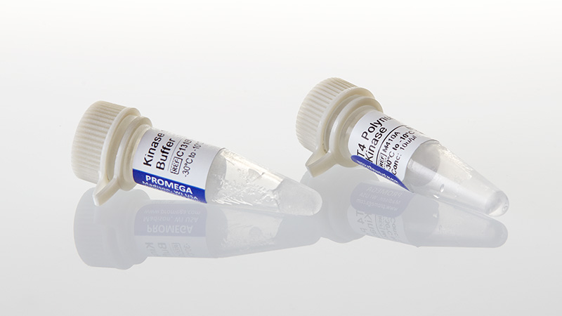 M4101_T4-Polynucleotide-Kinase--100u_3