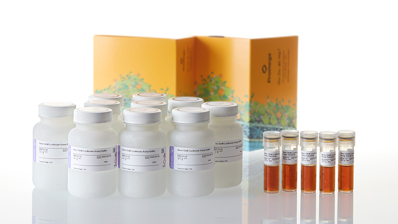 N1150_Nano-Glo--Luciferase-Assay--10x100ml_3