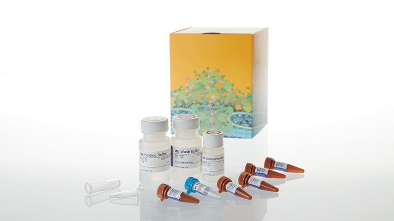 Methyledge Bisulfite Conversion System 50 reactions