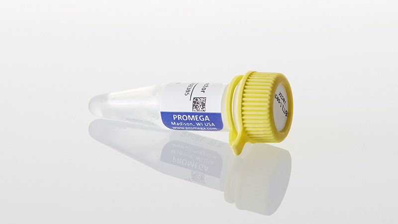 N2381_pBiT3-1-secN--CMV-3aHiBiT-3aBlast--Vector_3