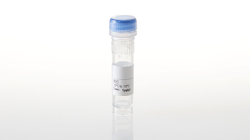 NV4201_NanoLuc--RPS6KA3-L608F-