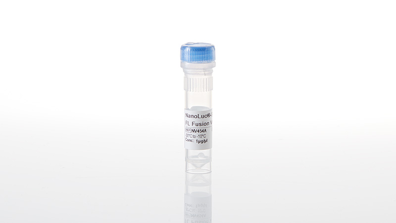 NanoLuc®-SIK3