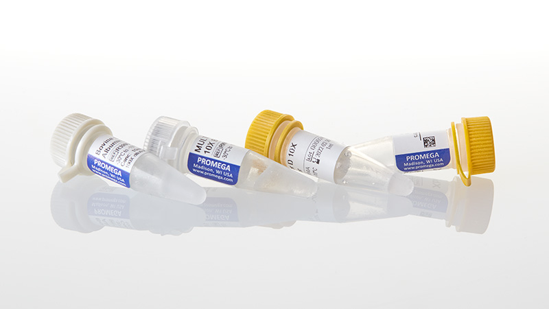 R6181_XbaI--GQ--2-000u_3