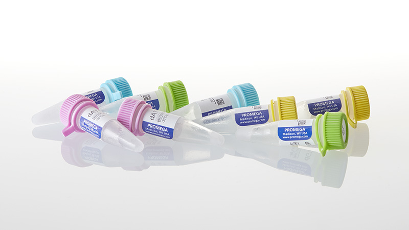 U1410_4-dNTP-s--100mM-200-uMoles-of-each_3