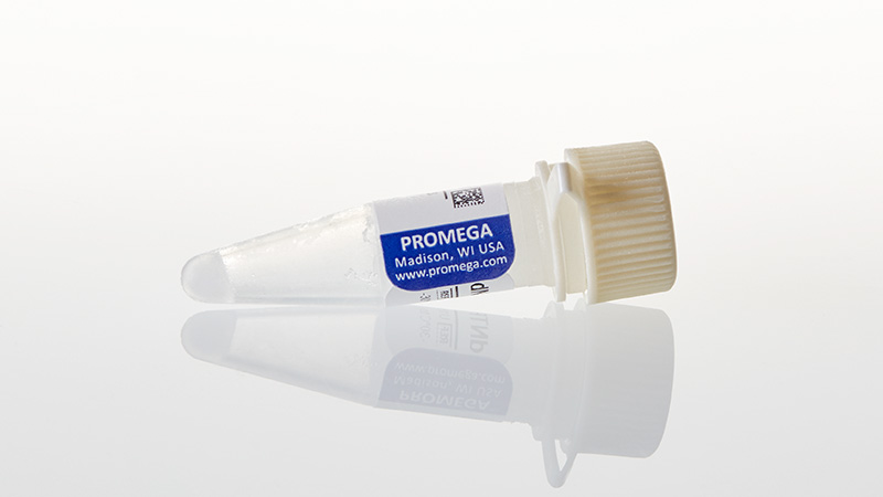 U1515_dNTP-Mix--10mM--1000ul_3