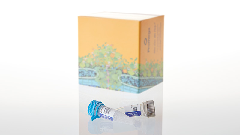 V1731_PI3K Lipid Kinases