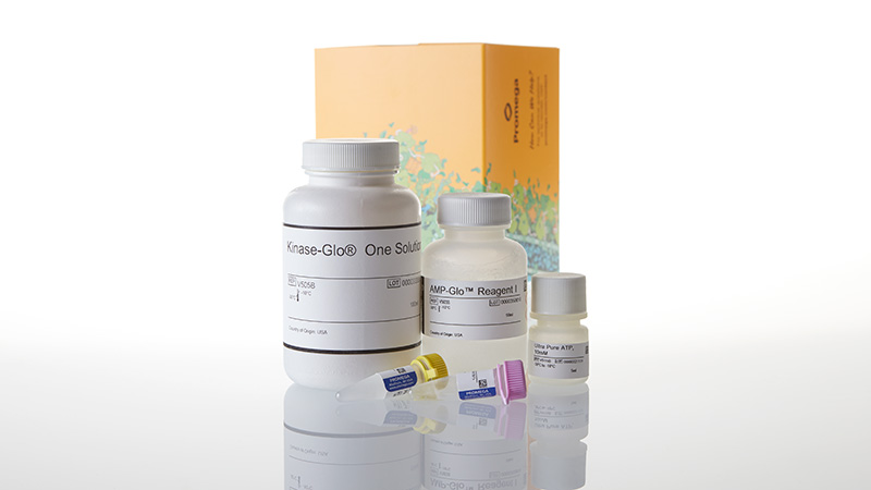 V5012_AMP-Glo--Assay--10-000-Assays_3