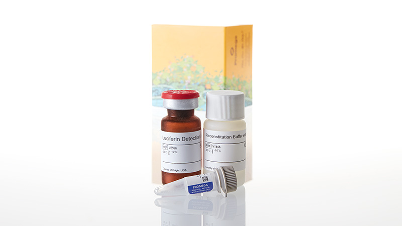 V8891_P450-Glo--CYP2D6-Assay-10ml_3