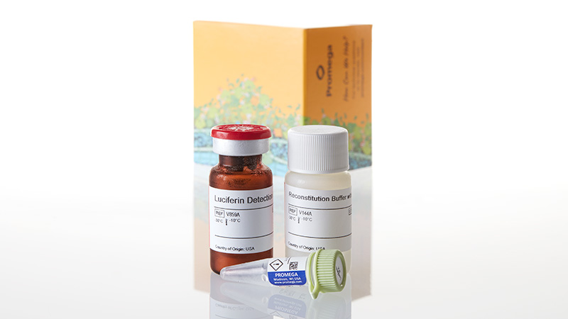 V9001_P450-Glo--CYP3A4-Assay-with-Luciferin_3