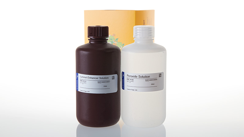 W1015_ECL-Western-Blotting-Substrate-500ml_3