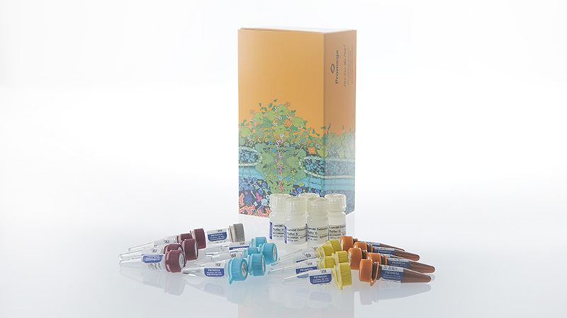 w1912lumitactiveil18humanimmunoassay3