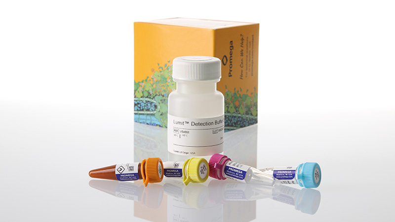 w6051-lumit-tnf-a-human-immunoassay-1000-assays