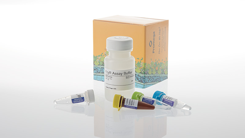 w7080-lumit-fcgri-binding-immunoassay