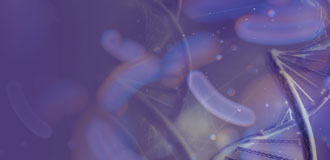 bacterial-diagnostics-330x160