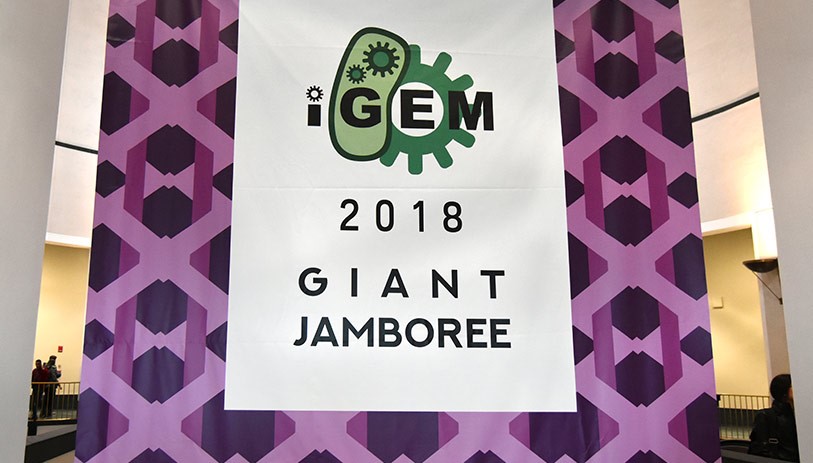 igem-recap