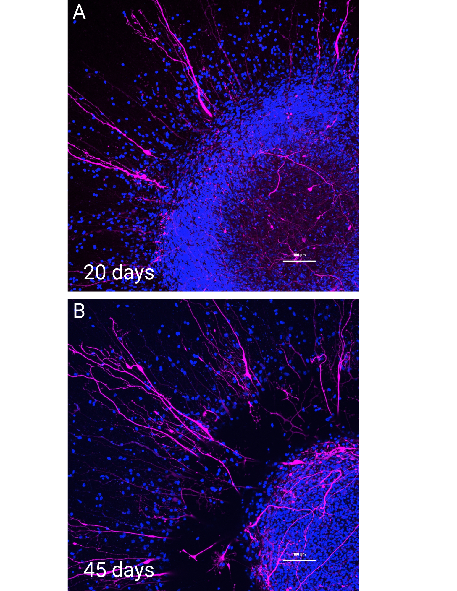 technical-articles-figure-3