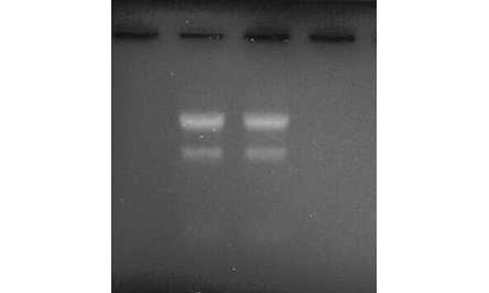 1098TA-web-positionC
