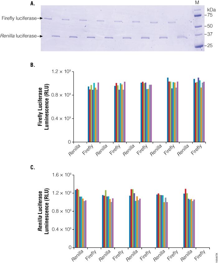 Analysis of cross-contamination between wells