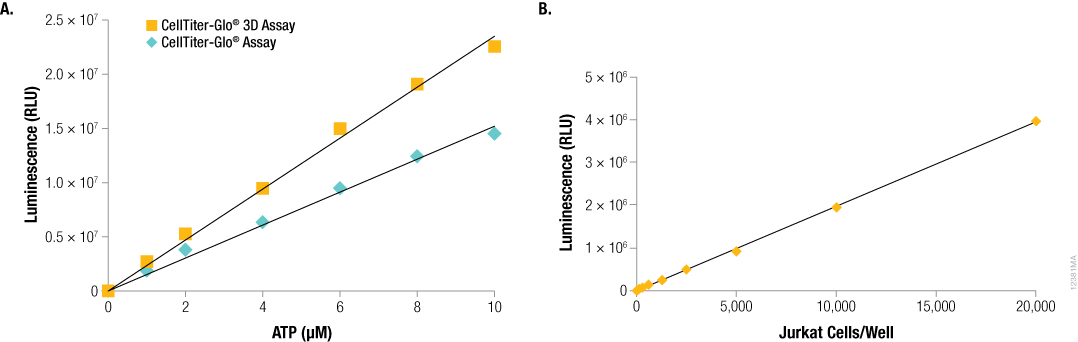 Luminescence generated by the CellTiter-Glo 3D Assay is proportional to ATP and cell number 12381MA_1078px