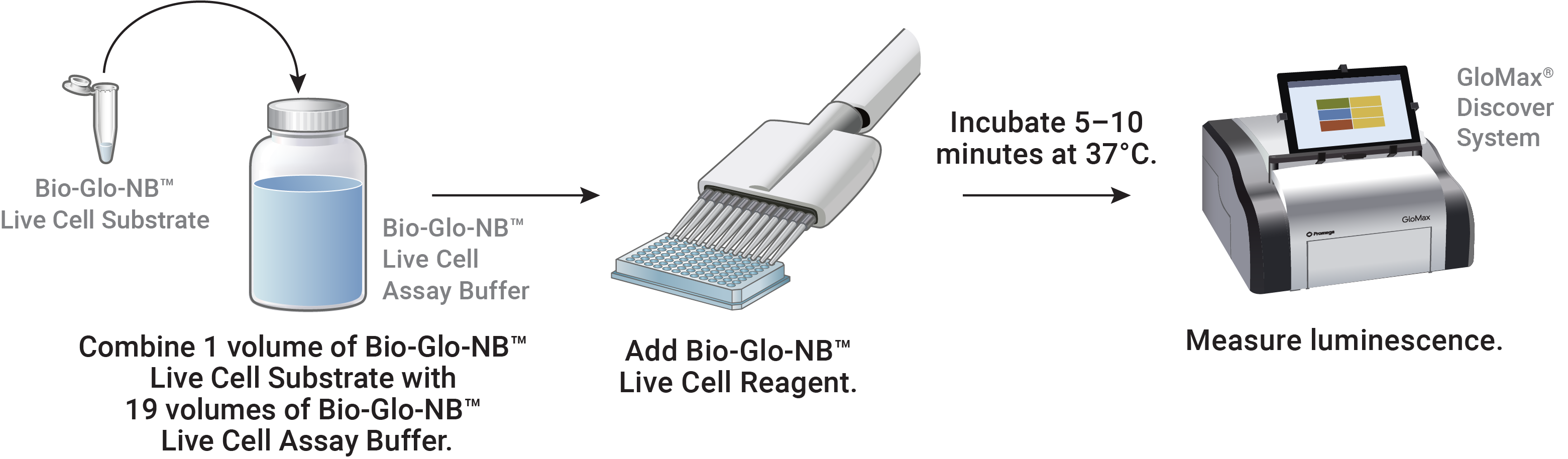 Depiction of the Bio-Glo-NB™ VLP Luciferase Assay protocol workflow.