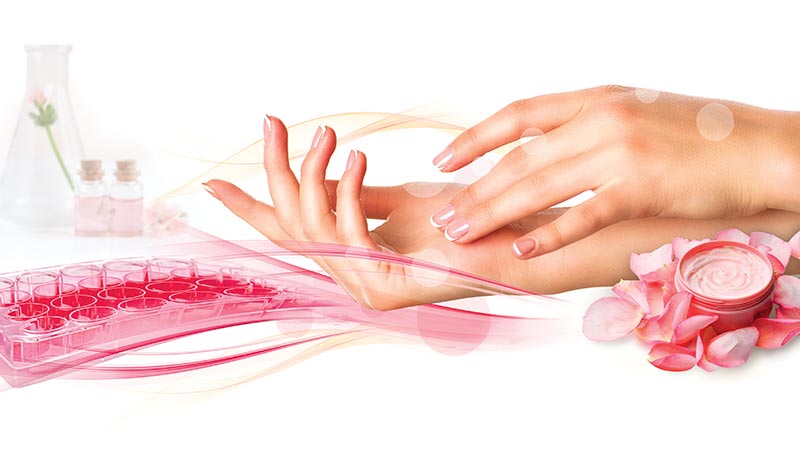 applied-cosmetics-cover-800x450